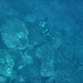 IMG_1084.png