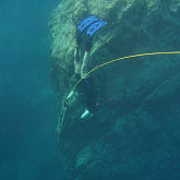 IMG_2063.png