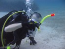 Free dive / SCUBA dive :: Harris Georgiou, Copyright (c) 2008-2011, Licenced under CC BY-ND (Attribution-NoDerivs)