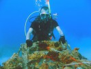 Free dive / SCUBA dive :: Harris Georgiou, Copyright (c) 2008-2011, Licenced under CC BY-ND (Attribution-NoDerivs)
